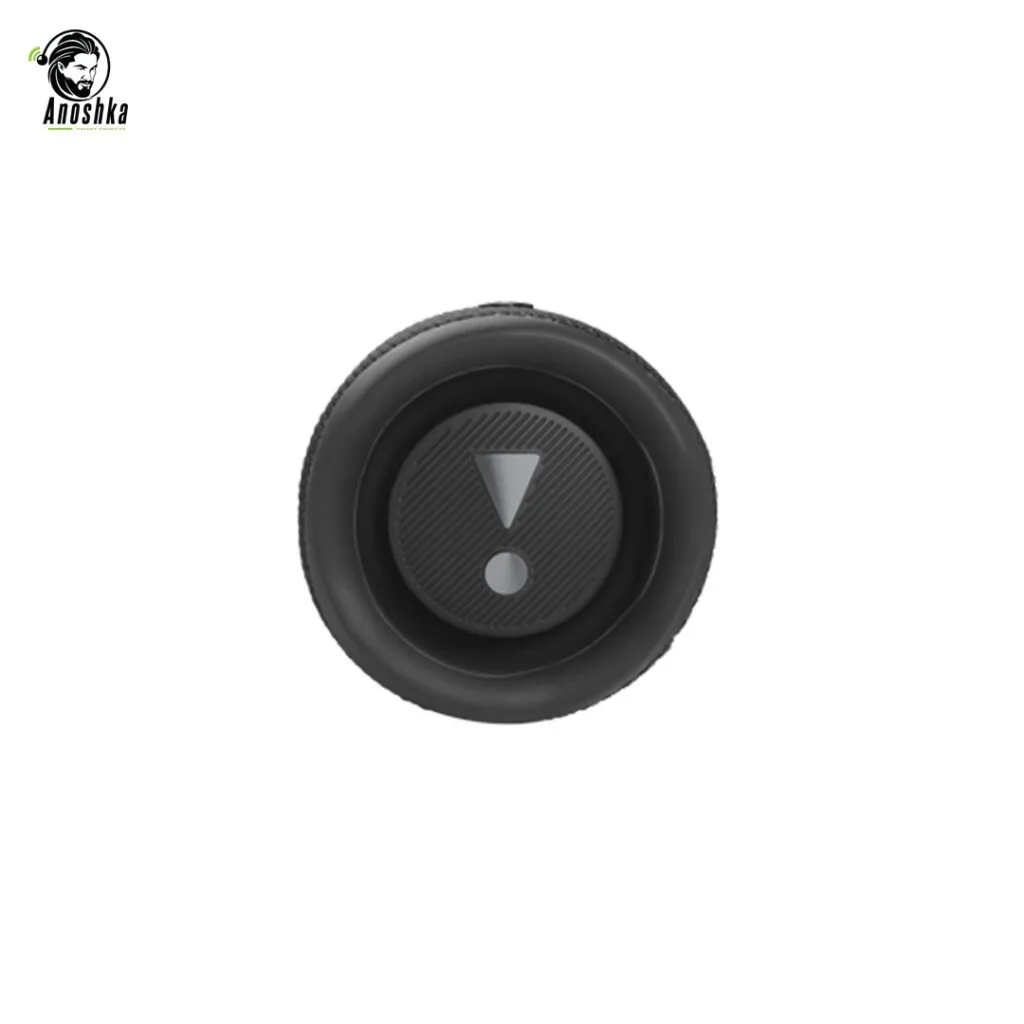 JBL Flip 6 Portable Spea