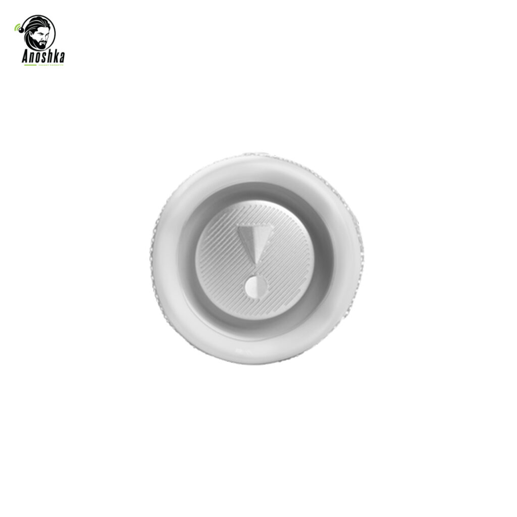 JBL Flip 6 Portable Spea