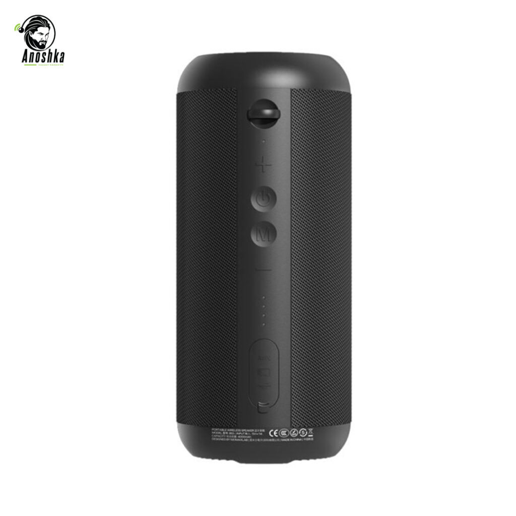 MOMAX InTune Plus BS5 Portable Wireless Speaker 20W