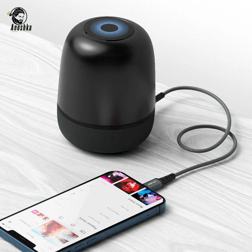 ACEFAST AUX 3.5 to Lightning C1-06 – Audio Adapter for iPhone and iPad