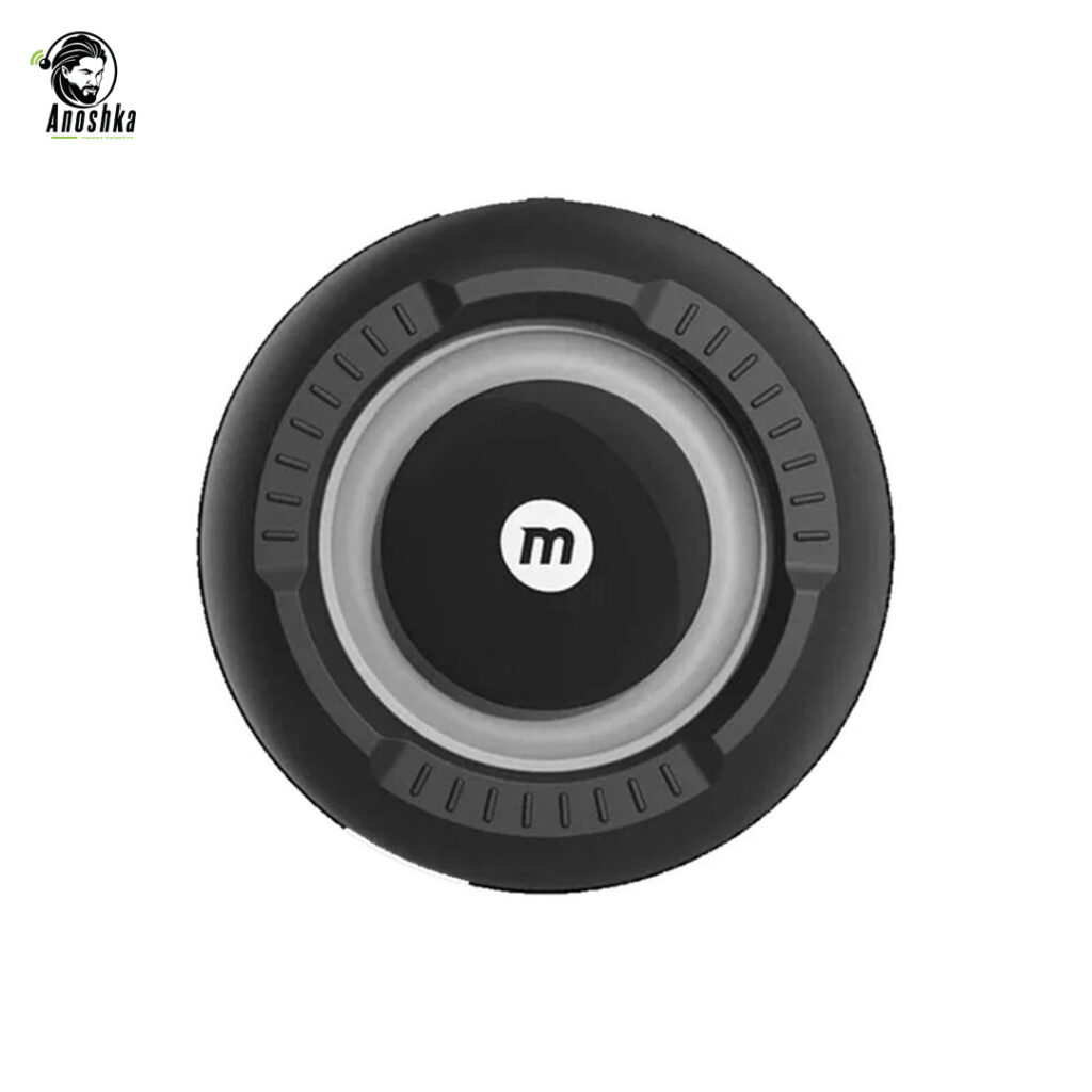 MOMAX InTune Plus BS5 Portable Wireless Speaker 20W